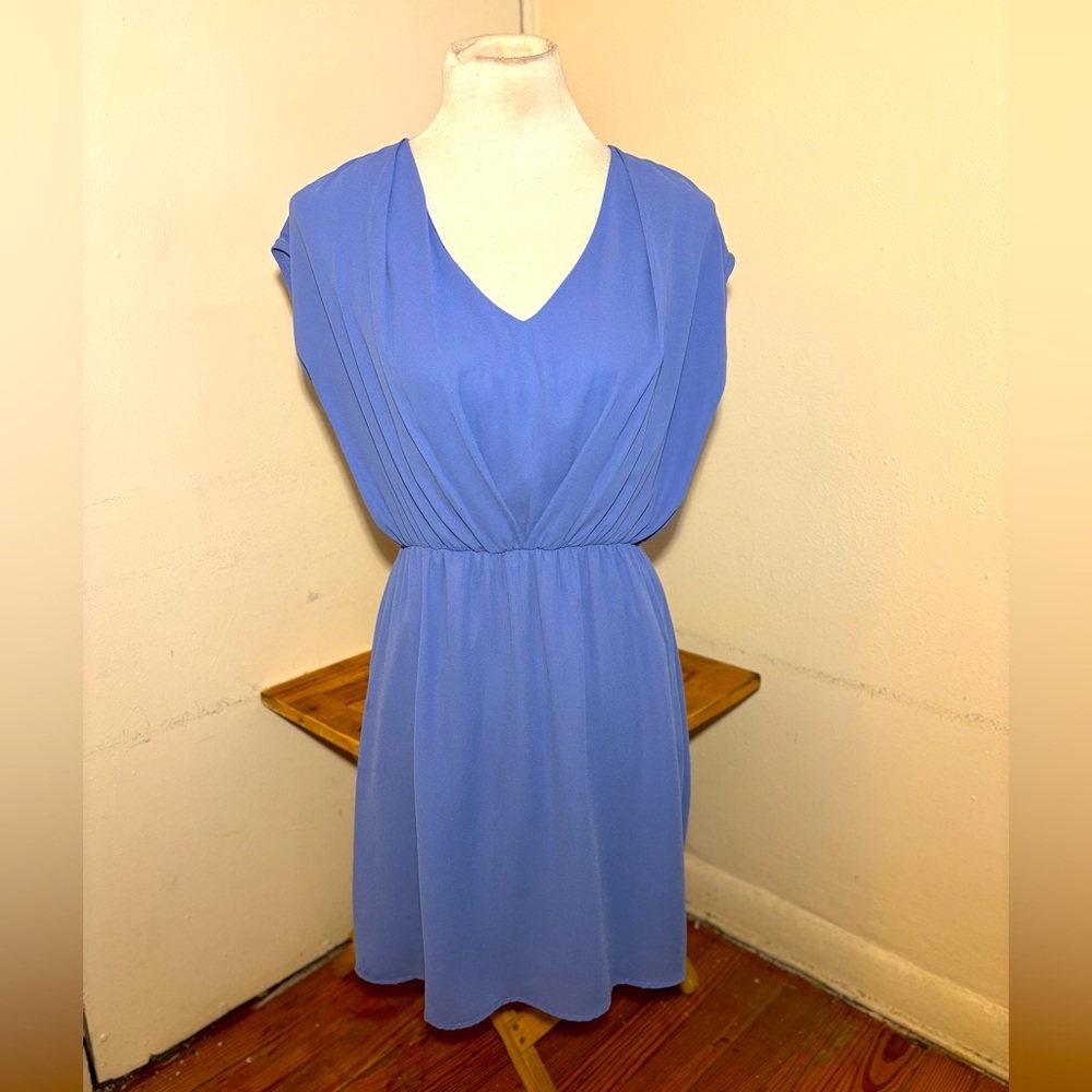 Alga Chiffon Dress